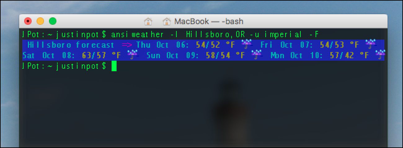 Mac download file terminal